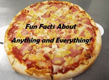 Fun Facts About Anything and Everything!